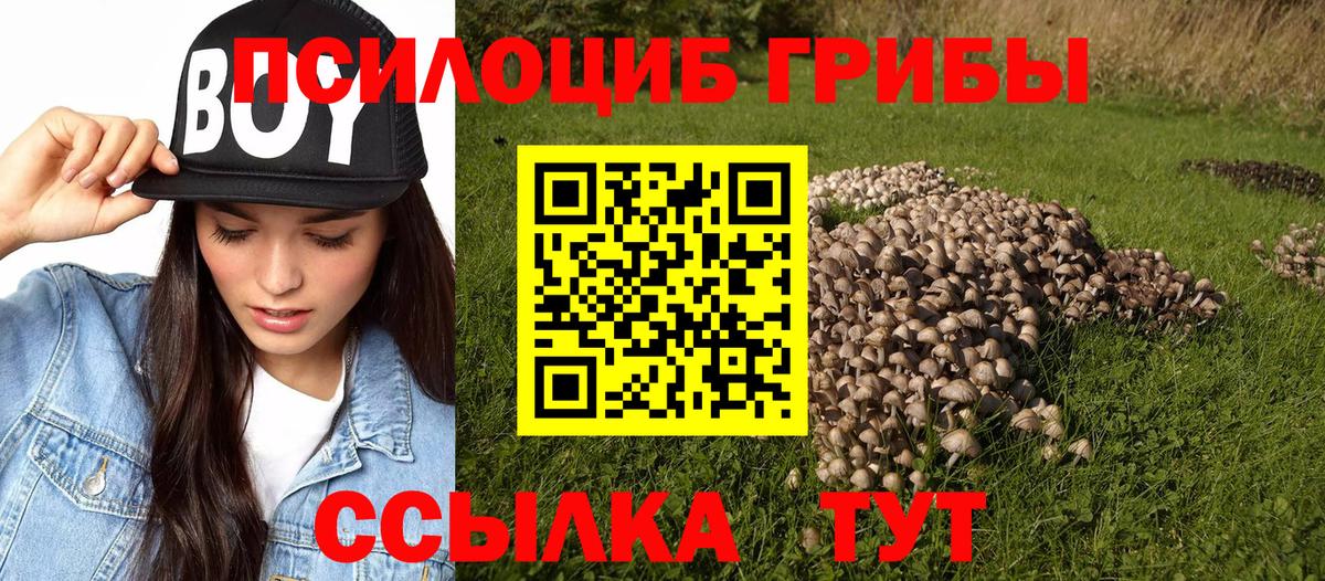 Красный Сулин  Псилоцибиновые грибы MAGIC MUSHROOMS  Вход с VPN 
